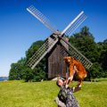 Eesti muuseumid on koerasõbralikud! Koertekoolitaja 8 soovitust, kuidas koeraga muuseumis käia