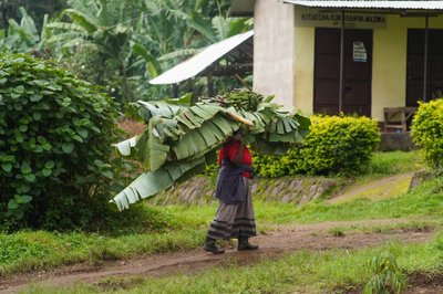 Aafrika riikides kantakse koormaid tihti pea peal. Seda tegevust on praktiseeritud juba lapsepõlvest, seega on kaelalihased tugevaks treenitud.