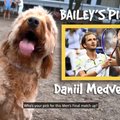 ВИДЕО: Собака-оракул предсказала победителя финала US Open