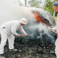 FOTOD: Lihulas põletati iidsel kombel sepasütt