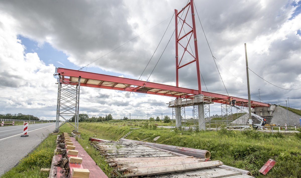 Üheksa aastat tagasi Eesti parimaks puitehitiseks valitud Vaida jalakäijate sild hakkas lagunema pärast mõneaastast kasutamist ning muutus ohtlikuks. Lagunemise põhjustas vesi, mis pääses teki hüdroisolatsiooni alla käsipuude tugikonstruktsioonide kaudu.