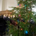 Правительство обсудило идею оппозиции признать православное Рождество государственным праздником