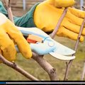 Videod aiahooldusest Maalehe ja Aialehe veebis