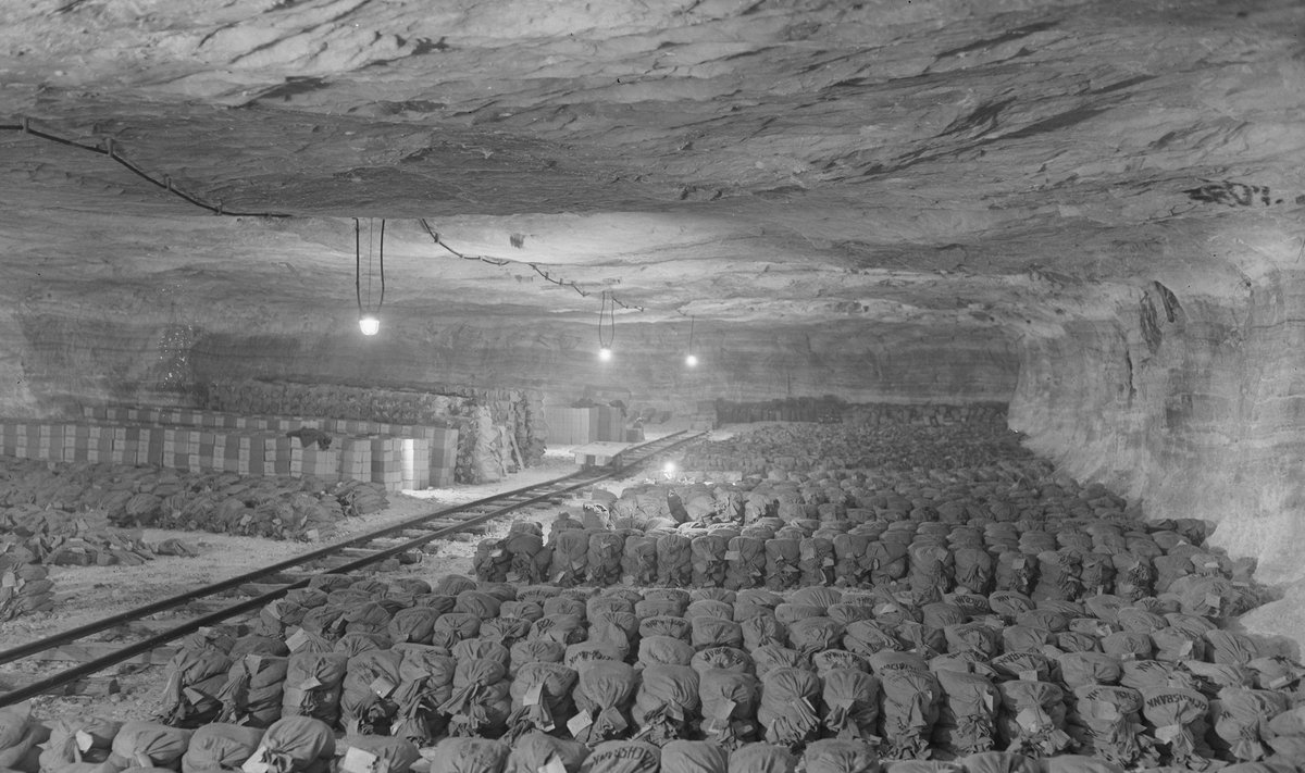 NATSIDE KULD: Aprillis 1945 avastasid ameeriklased Kaiseroda soolakaevandusest Tüüringis 250 tonni kullakange ja kuldmünte.