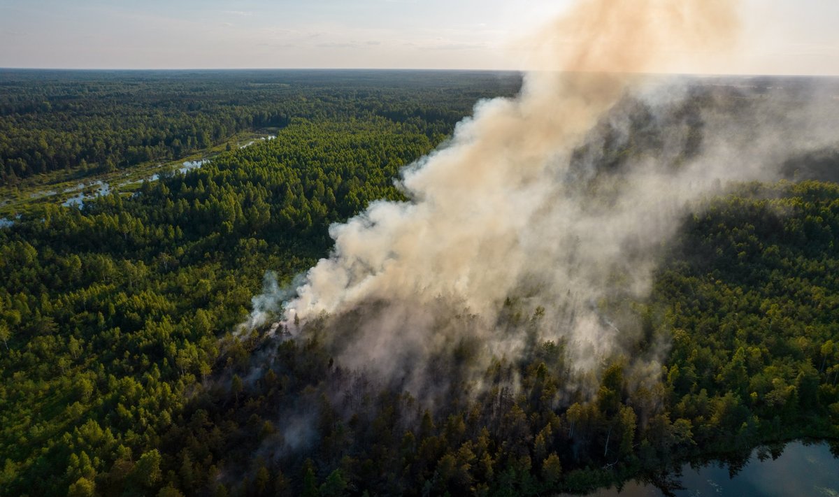 Metsatulekahjud laastavad praegu enim Virumaad.