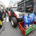 Тысячи фермеров протестуют в Брюсселе, требуя от ЕC спасти свои хозяйства от разорения