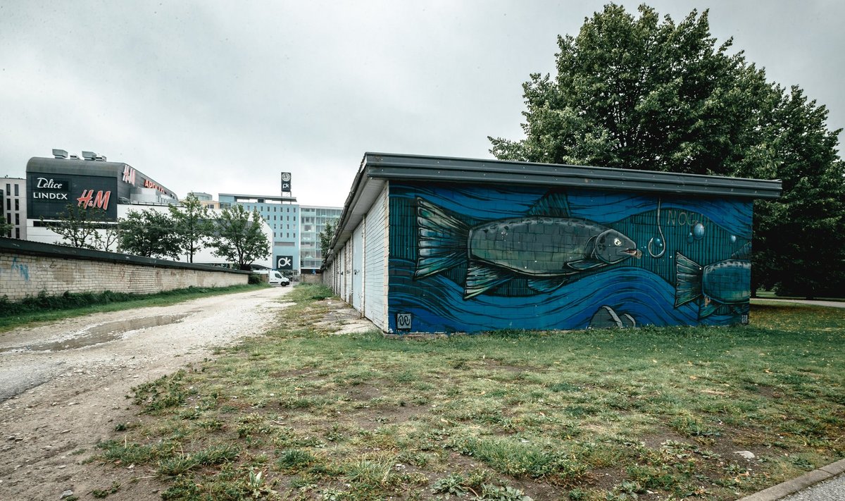 Mõrvapaik Pärnu, garaazid, grafiti