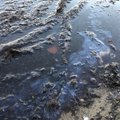 ФОТО И ВИДЕО | На побережье у Табасалу обнаружили возможное загрязнение