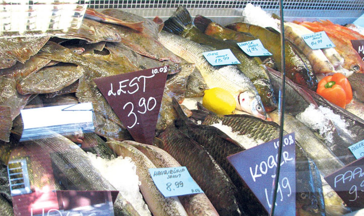 Küll Läänemerest, aga siiski Poola kalurite püütud lest olevat praegu Pärnu Kalamajaka parim müügiartikkel.
