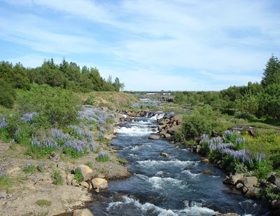 Elliðaárdalur.