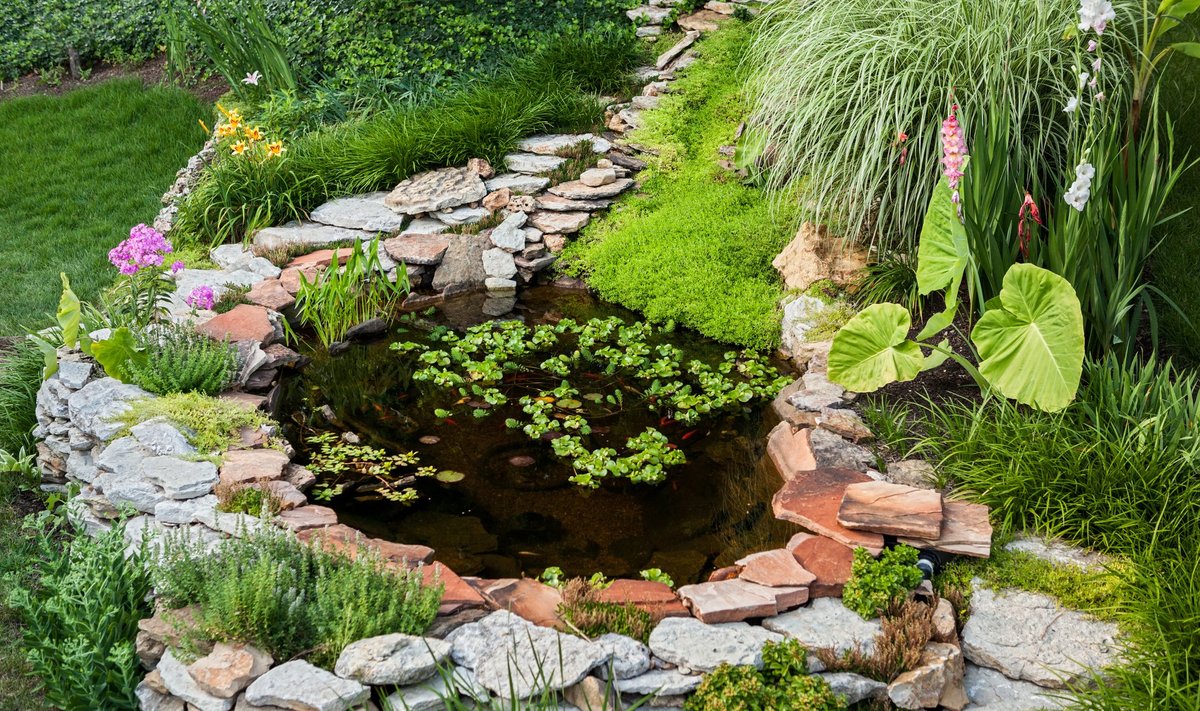 Beautiful,Pond,In,A,Backyard,Surrounded,With,Stone,During,Summer