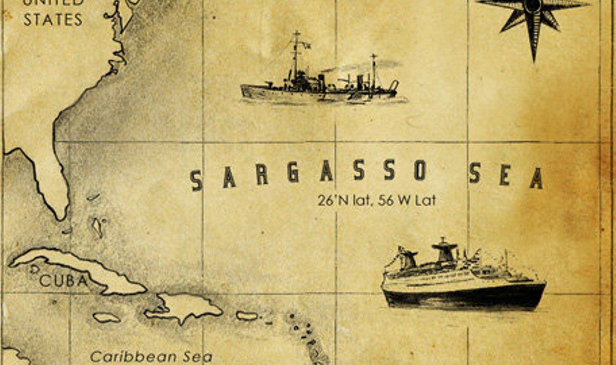 American Museum of Natural History: Sargasso Sea
