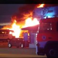 Võitlevad loomaõiguslased põletasid Soomes maha hulgaliselt busse