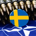 Парламент Турции проголосовал за ратификацию членства Швеции в НАТО