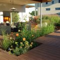 AIADISAINER | Kuidas kujundada aeda — aiakujunduse 10 momenti