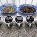 Briti labor andis tudengeile kogemata 300 kohvitassiga võrdse kofeiiniannuse