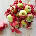 Sügisesed isuäratavad punapõsksed õunad