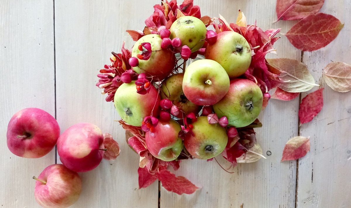 Lehelill on õuntele toeks. Õunad tuleb varem või hiljem mõne muu hooajalise materjali vastu välja vahetada, kuid kuivanud lehed kestavad igavesti.