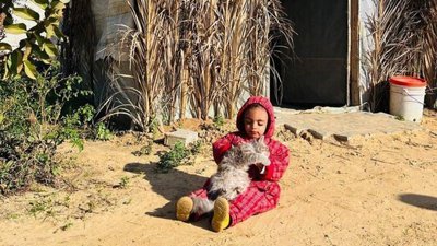 Ной, которому почти два года, страдает эпилепсией, но Амаль не может найти в Газе лекарства для него