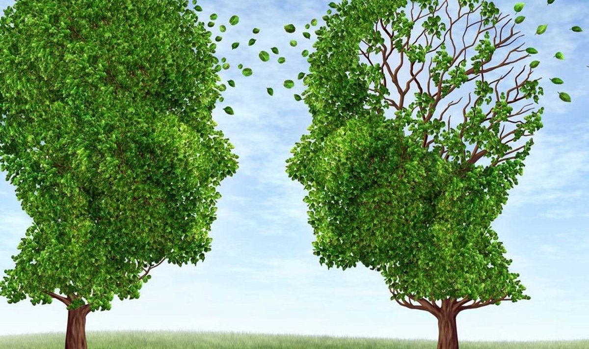 Alzheimeri tõbi areneb igal haigestunul erinevalt. (Foto: Shutterstock)