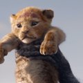 TREILER | Disney "Lõvikuningas" jõuab pärast 25 aastat taaskord kinodesse