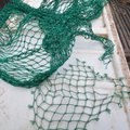 Saaremaal lõhuvad kalamehed teadlaste püügiriistu