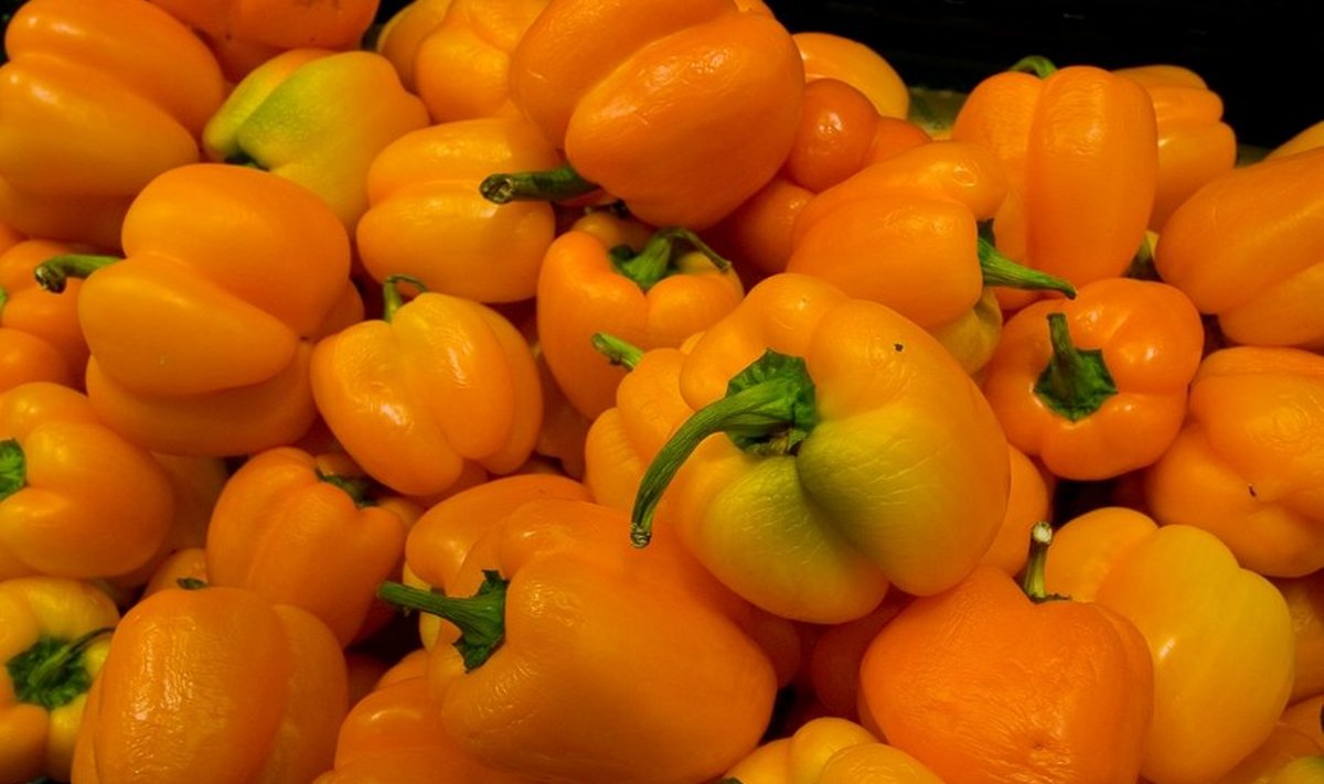 Rohkesti C-vitamiini sisaldab paprika.