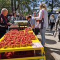 FOTOD | Täna alanud legendaarse Türi lillelaada kauplemiskohad müüdi välja ühe päevaga