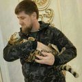 Telekoomik John Oliveri trollimine tekitas kadunud kassipoega otsinud Ramzan Kadõrovis nördimust