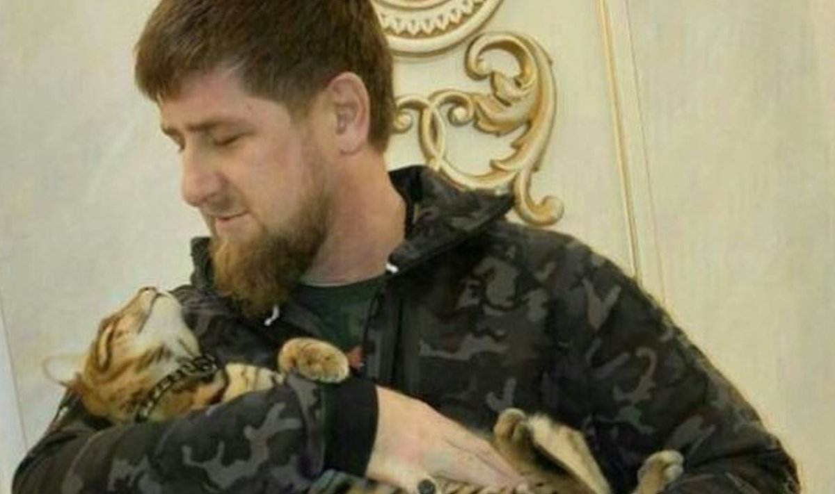 Ramzan Kadõrovi kass näeb välja nagu väike tiiger
