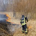 Поджигатели травы подкинули пожарным работы - десятки вызовов за выходные
