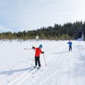 ÜLEVAADE | Suusad alla! Terviserajad üle Eesti on talvevormis ja ootavad suusatajaid. Kus millist stiili sõita saab?