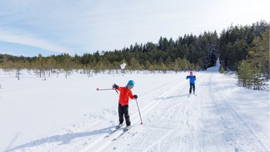 ÜLEVAADE | Suusad alla! Terviserajad üle Eesti on talvevormis ja ootavad suusatajaid. Kus millist stiili sõita saab?