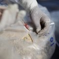 FOTOD: Peruus vahistati Eesti kodanik ja veel kaheksa inimest poole tonni kokaiiniga