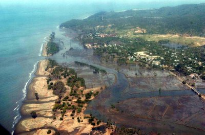 tsunami japan