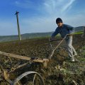 Põllumees: põline sisserändaja? Maaharimise tõid Euroopasse immigrandid Lähis-Idast