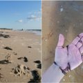ФОТО | Туристы в ужасе: пляжи в Паланге усеяны водорослями. Экологи считают, что виноваты в этом сами отдыхающие