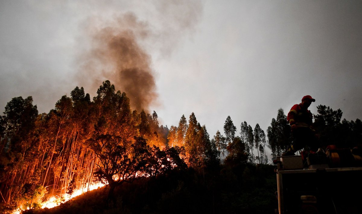 Portugali ametiisikud kirjeldavad tulekahju kui viimaste aastate suurimat maastikupõlengu tragöödiat. 