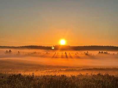 Jäänipäev konkurss