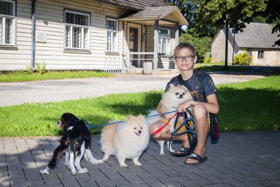 Eestis on kohanenud nii lapsed kui ka koerad.
