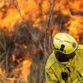Тянак без рекорда. Из-за лесных пожаров отменено Ралли Австралии
