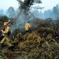 1992. aasta Vihterpalu metsatulekahju kustutamiseks kulus kaks nädalat