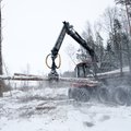 Salapärane miljonär ostab kokku Eesti metsa