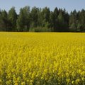 EL-i otsus võtab põllumeestelt suurema osa seni kasutatud putukamürkidest