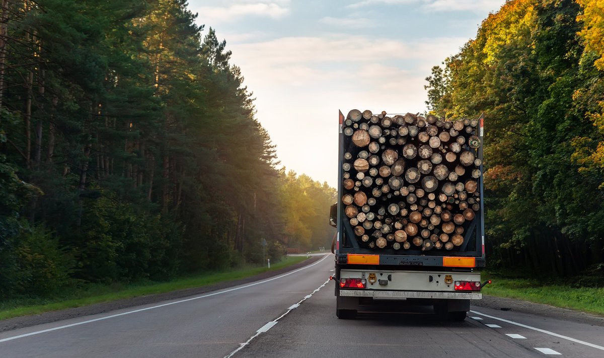 Mullu oli Eesti päritolu kaupu kõige rohkem puidu ja puittoodete ekspordis.