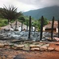 Välk tappis Colombias 11 usuriitusele kogunenud indiaanlast