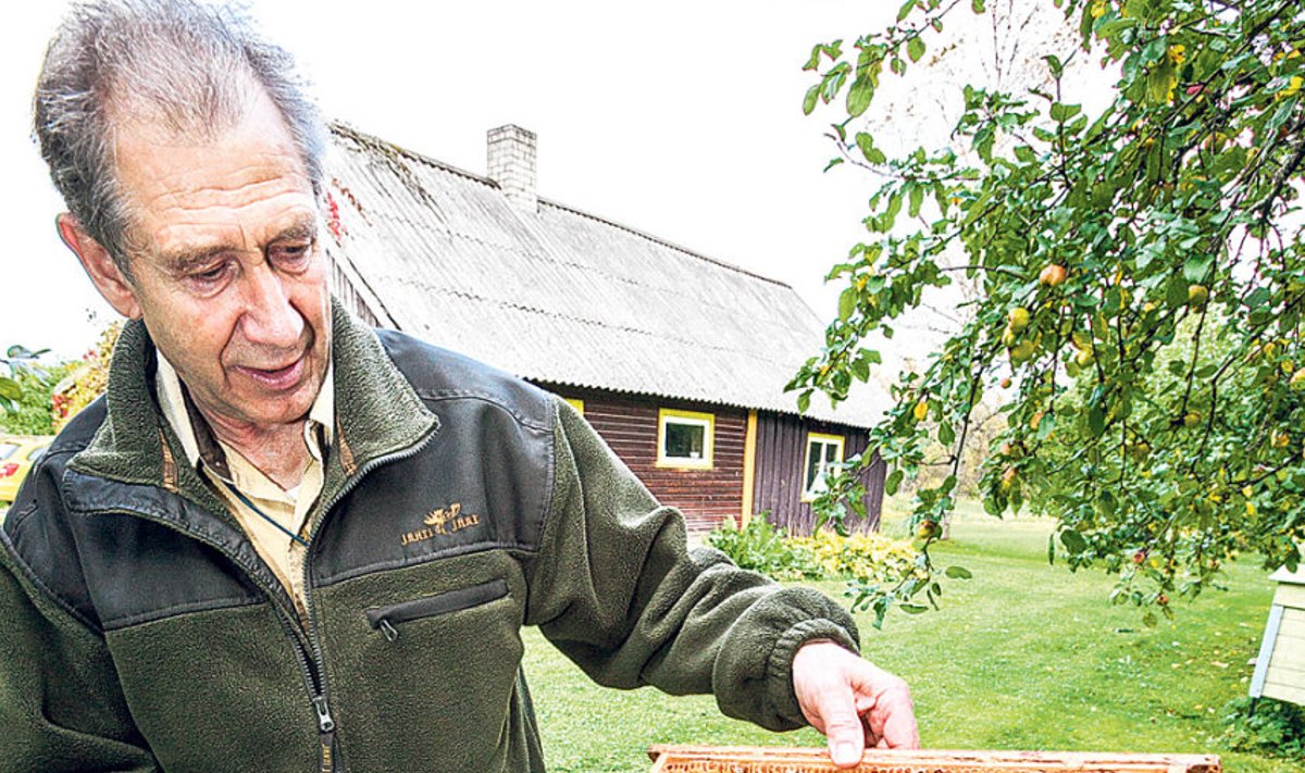 Eduard Vitkar näitab rüüstatud mesipuud ja kärgesid.