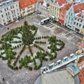 ФОТО | На Ратушной площади в Таллинне открыт лабиринт из елок