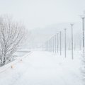 Vahetusõpilane Taist: Eesti on ilus maa, kus on palju loodust ja ma tahtsin lund näha