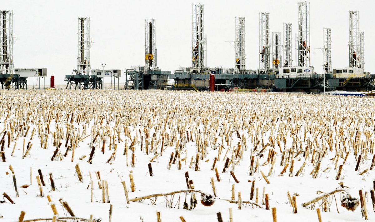 Päevalillepõld USAs Põhja-Dakota naftapuurtornide ees